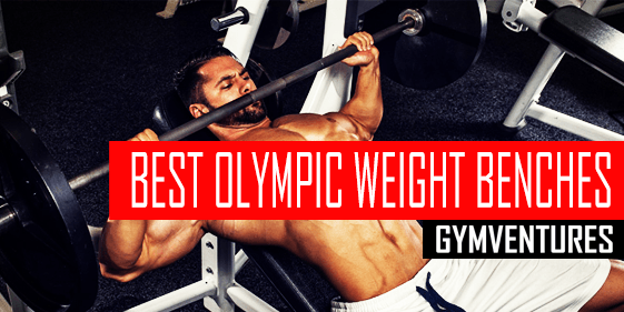 5 Best Olympic Weight Benches For Your Home Gym