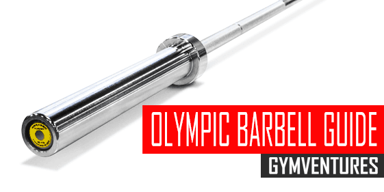 Buying the Best Olympic Barbells (Guide & 24 Recommendations)