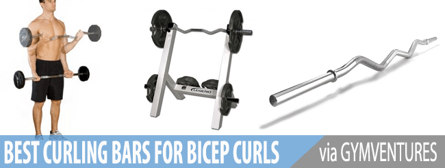 10 Best Curl Bars for Effective Barbell Workouts