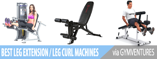 10 Best Leg Curl/Extension Machines