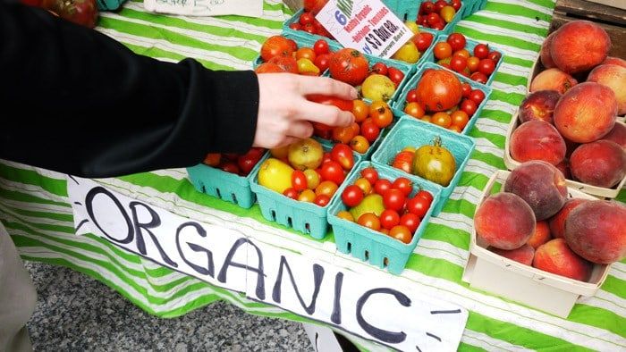 The Importance of Organic Food in Your Diet