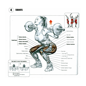Squat Machine Muscles Worked And Form Used