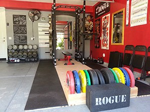 Bright And Colorful Free Weights Combined With Heavy Dumbbells And Rogue Power Rack For Strength Training