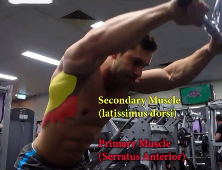 Serratus pulls muscles effected