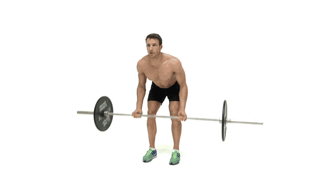 barbell-row-exercise