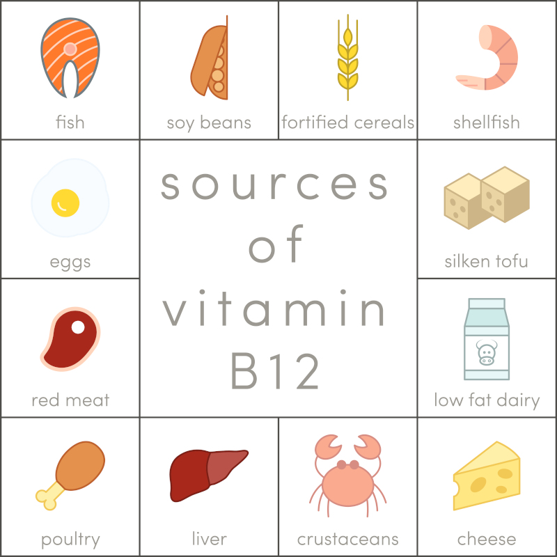 sources of vitamin b12